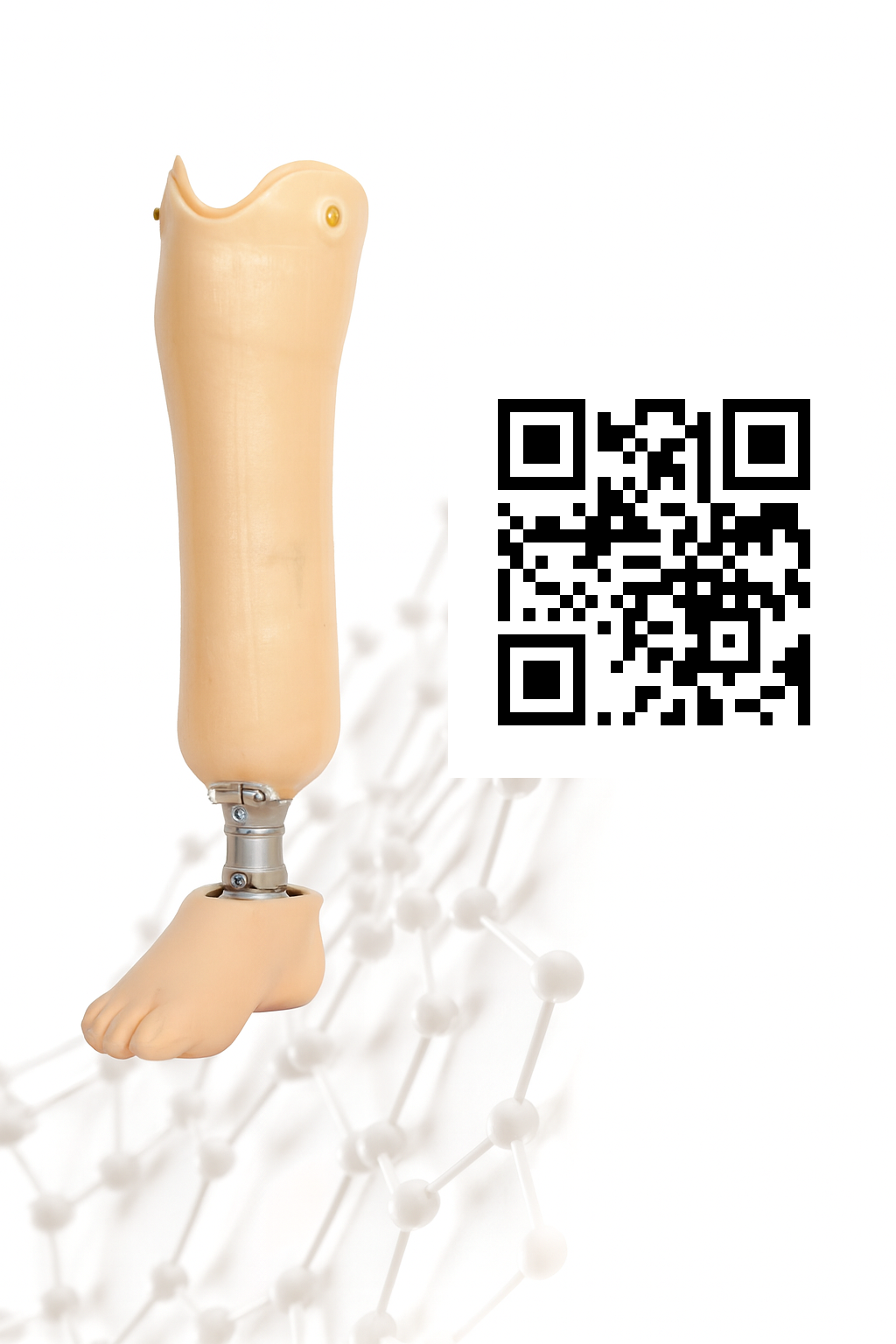 Ortmed, ortopediya industry, протезлар, стелькалар, протез қўл, оёқлар - Болдир (тизза пасти) протези